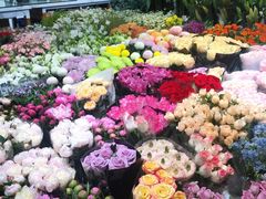 -双季花艺园艺市场(浦东店)