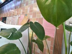 -李先生牛肉面大王(莱芜信誉楼店)