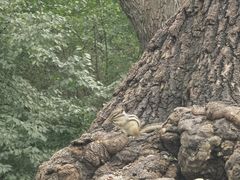 -北陵公园
