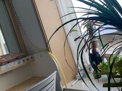 -竹川学社·自助沉浸自习室(海淀黄庄店)