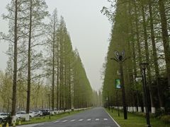 -黄海国家森林公园