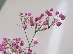 -山东省千佛山医院