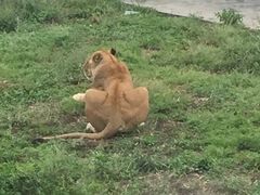 -西安秦岭野生动物园