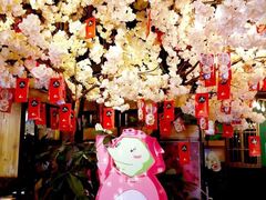 -甲大帅·甲鱼·椰子鸡主题餐厅(唐家店)