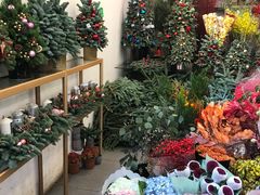 -双季花艺园艺市场(浦东店)