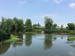 -马陆小张葡萄园农家乐