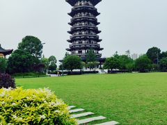 -洋湖国家湿地公园