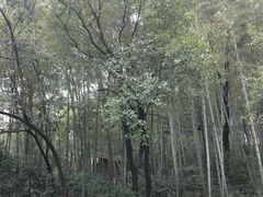 -石燕湖生态旅游景区