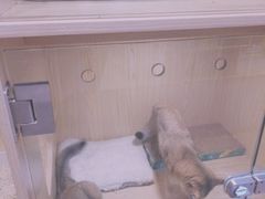 -屋虎猫馆(宝安大仟里店)