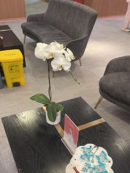 -深圳艺星医疗美容医院