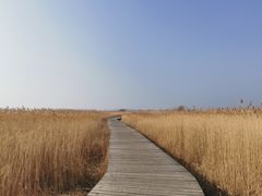 -野鸭湖国家湿地公园