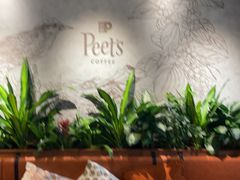 -Peet's 皮爷咖啡(东湖路手作店)