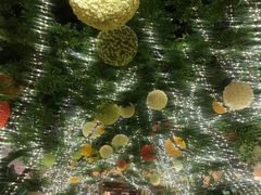 -拉斯维加斯永利酒店