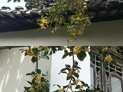 -花园茶楼(兴城西路店)