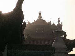 -武汉大学-樱园
