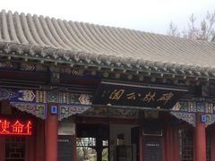 -碑林公园