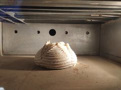 酸面包-Mesa Madre梅萨妈妈·Bintana(国贸店)