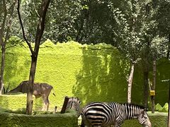 -北京野生动物园