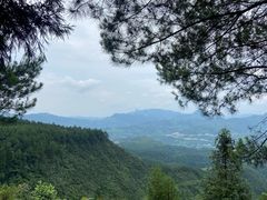 -重庆睡佛山森林公园