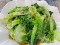 -东鸽皇(奥园·中环广场店)