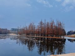 -白鹭·烟汀自然美学餐厅(白鹭湾店)