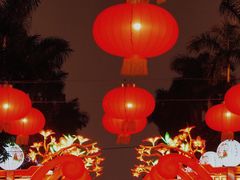 -万绿园