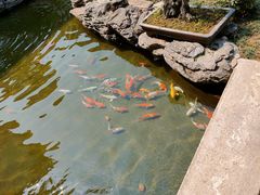 -聚福宝合苑食府(南头镇店)