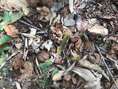 -大泽山风景名胜区