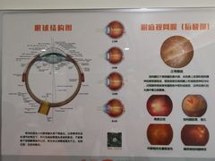 -中山大学中山眼科中心(珠江新城院区)