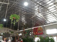 大堂-石岐乳鸽村(桥观坊南四巷店)
