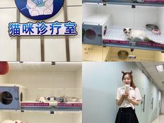 -lincat·猫舍(广州店)