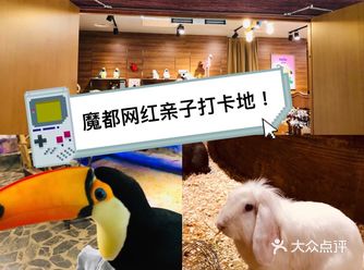 爆魔都的遛娃胜地!快来打卡吧!