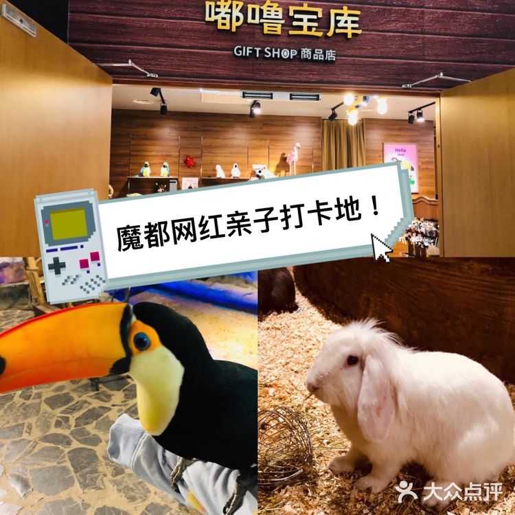 🔥爆魔都的遛娃胜地!快来打卡吧!