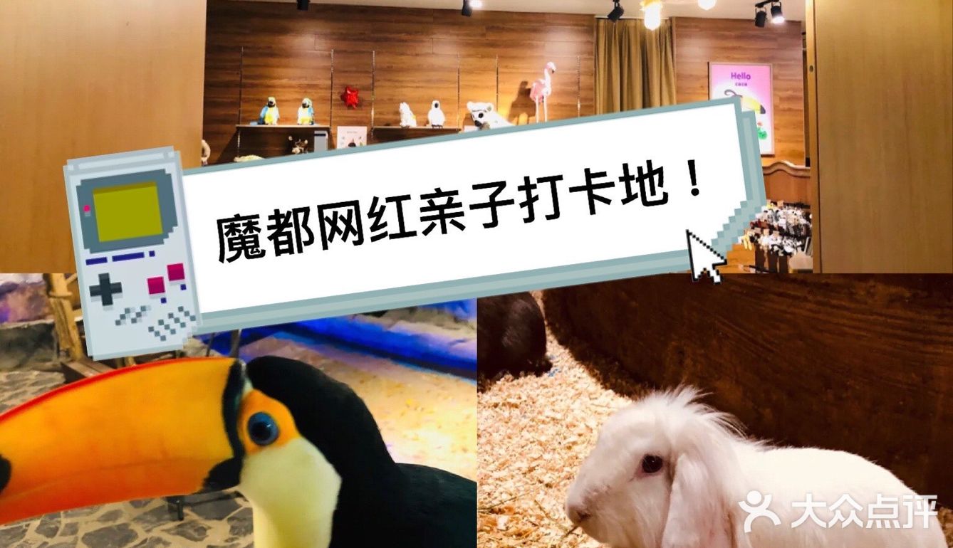 🔥爆魔都的遛娃胜地！快来打卡吧！