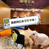 🔥爆魔都的遛娃胜地！快来打卡吧！