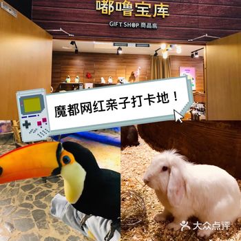 爆魔都的遛娃胜地!快来打卡吧!