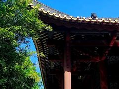 -顺峰山公园