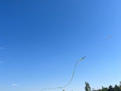 -绿堤公园