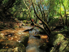 -阳台山森林公园