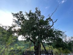 -龙洞风景区-藏龙涧