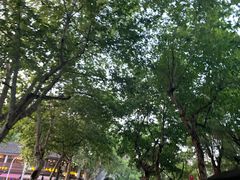 -鼓楼(西湖风景名胜区)