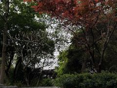 -腾冲和顺柏联酒店