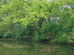 -西溪国家湿地公园