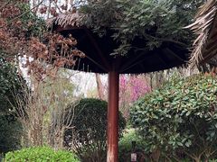 -七彩云南古滇温泉山庄