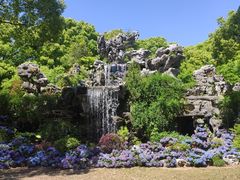 -上海鲜花港