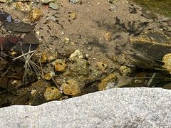 -黑龙潭风景区