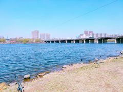 -长白岛森林公园