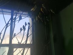 -邯郸海洋世界