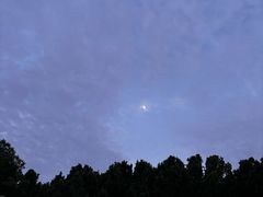 -四里河滨水生态公园