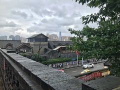 -李子坝梁山鸡(李子坝大鸡哥店)